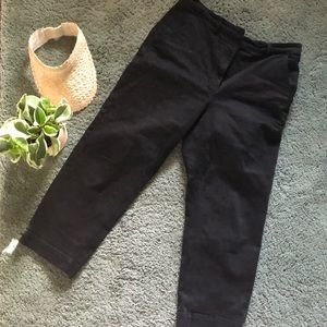 Everlane Straight Leg Crop